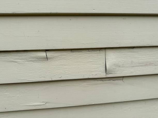 Siding for New Construction